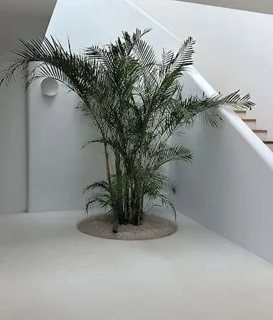 Ankinara In By Izmir *