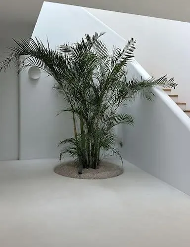 Ankinára In By Izmir *